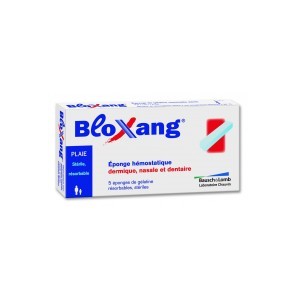 BLOXANG 5 éponges